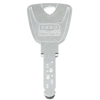 KESO / Danalock Sicherheitszylinder 8000 OM incl. 1 Schlüssel u. Sicherungskarte