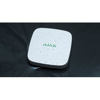 AX-LeaksProtect-W